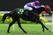 Joao Moreira lands an early double aboard War Lord on Sunday.<br>Photo by Singapore Turf Club